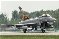 Tams. Click to see full size photo