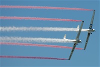 EC-ISM. Click to see full size photo