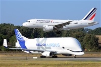 Miguel A. gueda Rguez.  (CANARY ISLANDS SPOTTING). Click to see full size photo