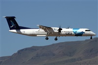 Alfonso Sols - Asociacin Canary Islands Spotting. Click to see full size photo