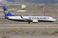 Miguel A. gueda Rguez.  (CANARY ISLANDS SPOTTING). Click to see full size photo