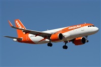 Alfonso Sols - Asociacin Canary Islands Spotting. Click to see full size photo