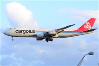 Miguel A. gueda Rguez.  (CANARY ISLANDS SPOTTING). Click to see full size photo