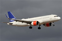 Alfonso Sols - Asociacin Canary Islands Spotting. Click to see full size photo