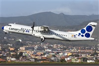 ©Daniel Santos Batista - Canary Islands Spotting. Click to see full size photo ©Daniel Santos Batista - Canary Islands Spotting. Click to see full size photo
