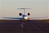 ©Saimon J Rodriguez - Canary Islands Spotting. Click to see full size photo ©Saimon J Rodriguez - Canary Islands Spotting. Click to see full size photo