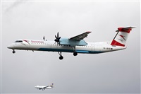Adrin Alonso Lemes - Lanzarote Spotters. Click to see full size photo