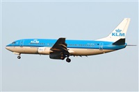 La Roche Spotters. Click to see full size photo