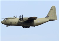 ©Alejandro H.L - Gran Canaria Spotters. Click to see full size photo ©Alejandro H.L - Gran Canaria Spotters. Click to see full size photo