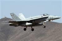 Alfonso Sols - Asociacin Canary Islands Spotting. Click to see full size photo