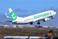 Miguel A. gueda Rguez.  (CANARY ISLANDS SPOTTING). Click to see full size photo