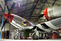 Miguel Martin Cordeiro - Iberian Spotters. Haz click para ampliar