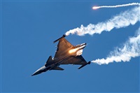 Tams. Click to see full size photo