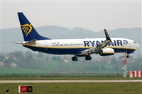 La Roche Spotters. Click to see full size photo