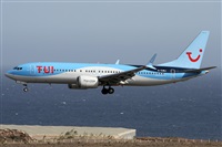 ©Alfonso Solís - Asociación Canary Islands Spotting. Click to see full size photo ©Alfonso Solís - Asociación Canary Islands Spotting. Click to see full size photo