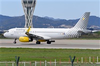 Miguel A. gueda Rguez.  (CANARY ISLANDS SPOTTING). Click to see full size photo
