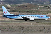 ©Alfonso Solís - Asociación Canary Islands Spotting. Click to see full size photo ©Alfonso Solís - Asociación Canary Islands Spotting. Click to see full size photo