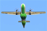 Miguel A. gueda Rguez.  (CANARY ISLANDS SPOTTING). Click to see full size photo