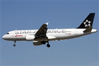 Alfonso Sols - Asociacin Canary Islands Spotting. Haz click para ampliar