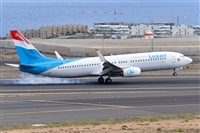 Miguel A. gueda Rguez.  (CANARY ISLANDS SPOTTING). Haz click para ampliar