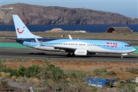 Alfonso Sols - Asociacin Canary Islands Spotting. Click to see full size photo