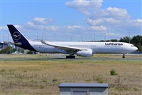 Miguel A. gueda Rguez.  (CANARY ISLANDS SPOTTING). Click to see full size photo