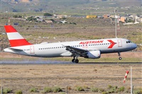 Miguel A. gueda Rguez.  (CANARY ISLANDS SPOTTING). Click to see full size photo