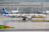Miguel A. gueda Rguez.  (CANARY ISLANDS SPOTTING). Click to see full size photo