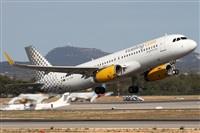 ©Alfonso Solís - Asociación Canary Islands Spotting. Click to see full size photo ©Alfonso Solís - Asociación Canary Islands Spotting. Click to see full size photo