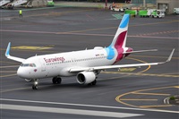 Miguel A. gueda Rguez.  (CANARY ISLANDS SPOTTING). Click to see full size photo
