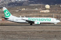 ©Alfonso Solís - Asociación Canary Islands Spotting. Click to see full size photo ©Alfonso Solís - Asociación Canary Islands Spotting. Click to see full size photo