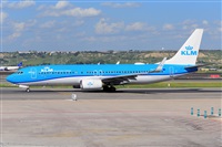 Miguel A. gueda Rguez.  (CANARY ISLANDS SPOTTING). Click to see full size photo