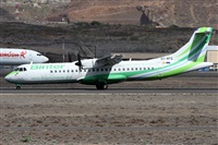 ©Alfonso Solís - Asociación Canary Islands Spotting. Click to see full size photo ©Alfonso Solís - Asociación Canary Islands Spotting. Click to see full size photo