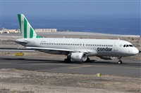 Alfonso Sols - Asociacin Canary Islands Spotting. Click to see full size photo