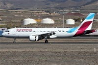 ©Alfonso Solís - Asociación Canary Islands Spotting. Click to see full size photo ©Alfonso Solís - Asociación Canary Islands Spotting. Click to see full size photo