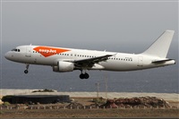 Alfonso Sols - Asociacin Canary Islands Spotting. Haz click para ampliar