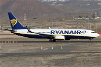 ©Alfonso Solís - Asociación Canary Islands Spotting. Click to see full size photo ©Alfonso Solís - Asociación Canary Islands Spotting. Click to see full size photo