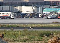 Manuel  LLama  -  Costa Del Sol Spotting Aviation. Click to see full size photo