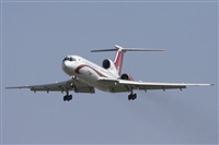 Jos Miguel Bernases - Noisy Spotters. Click to see full size photo