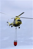 Ayoze Santana Mendez - Canary Islands Spotting. Click to see full size photo
