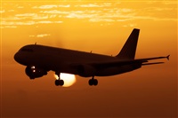 Luciano de la Rosa Gutirrez (Tenerife) Canary Islands Spotting. Click to see full size photo