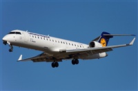Jos Miguel Bernases - Noisy Spotters. Click to see full size photo