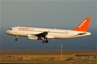 ©Javier de la Cruz - CANARY ISLANDS SPOTTING. Click to see full size photo ©Javier de la Cruz - CANARY ISLANDS SPOTTING. Click to see full size photo