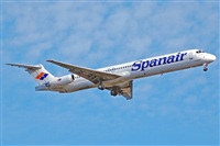 Miguel A. gueda Rguez.  (CANARY ISLANDS SPOTTING). Click to see full size photo