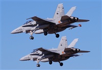 Alejandro H.L - Gran Canaria Spotters. Click to see full size photo