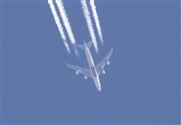 Jos Miguel Bernases - Noisy Spotters. Click to see full size photo