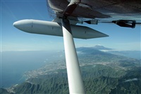 La Roche Spotters. Click to see full size photo