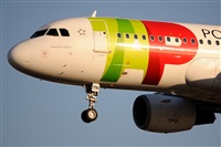 Miguel Martin Cordeiro - Iberian Spotters. Haz click para ampliar