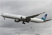 Jos Miguel Bernases - Noisy Spotters. Click to see full size photo