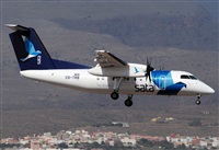 Alejandro H.L - Gran Canaria Spotters. Click to see full size photo